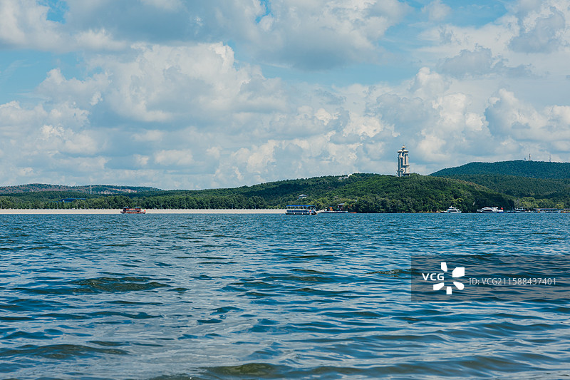 蓝天白云 夏天 长春  净月潭国家森林公园 黑松林图片素材