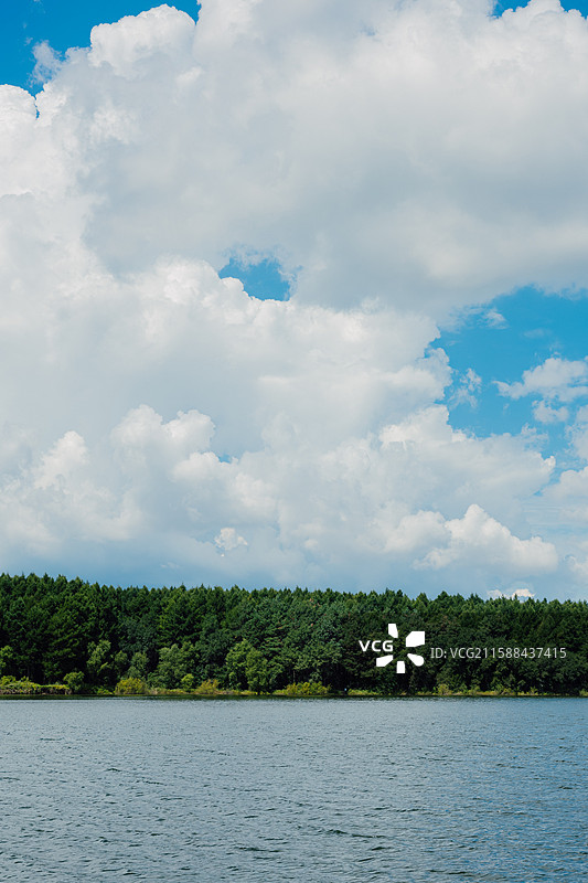 蓝天白云 夏天 长春  净月潭国家森林公园 黑松林图片素材