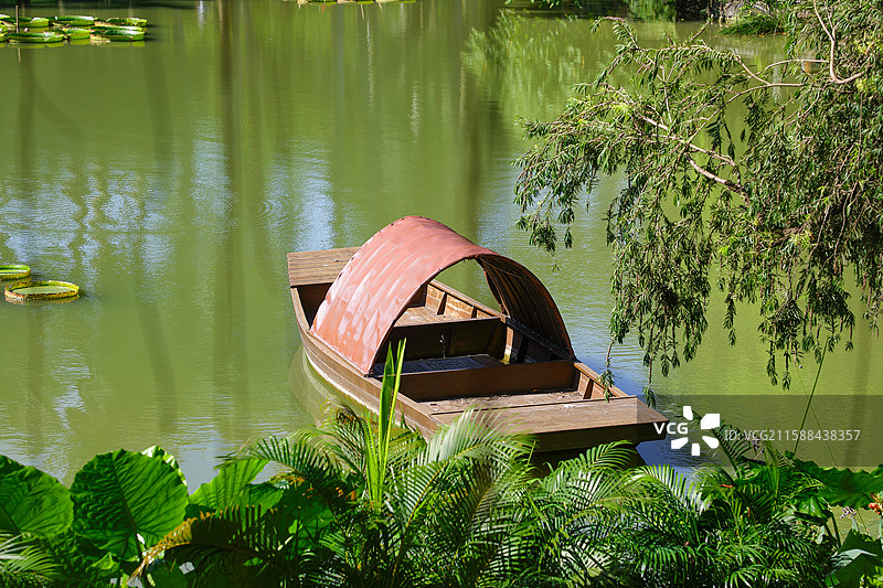 柳树下停泊的乌篷船图片素材
