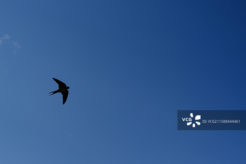 蓝天白云燕子老式水塔。晴空万里晴天晴朗。高清风景天空PPT背景图。设计素材图片素材