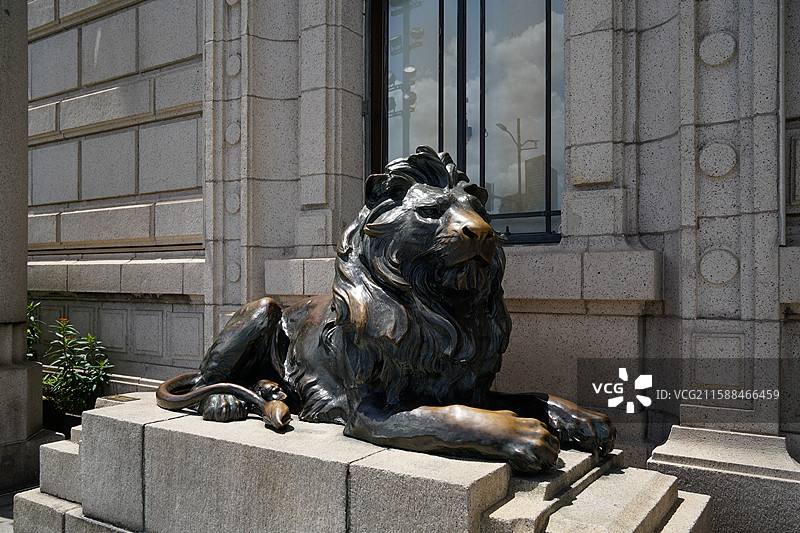 上海浦发银行门口的铜狮子图片素材