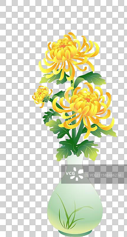 寒露 霜降 插花赏菊图片素材