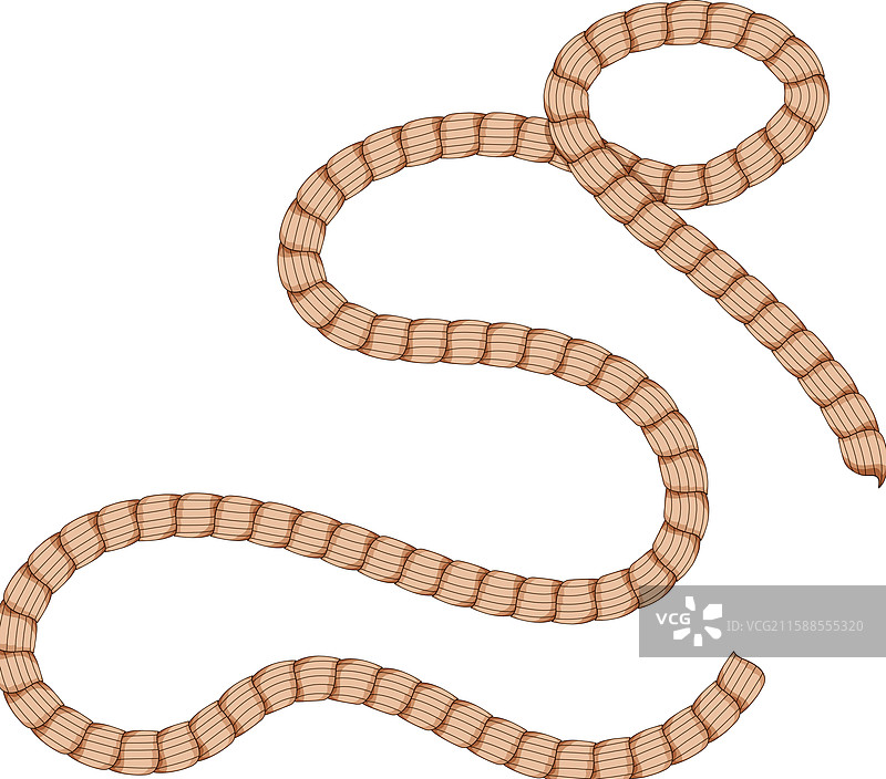 尼龙绳卡通图案图片素材