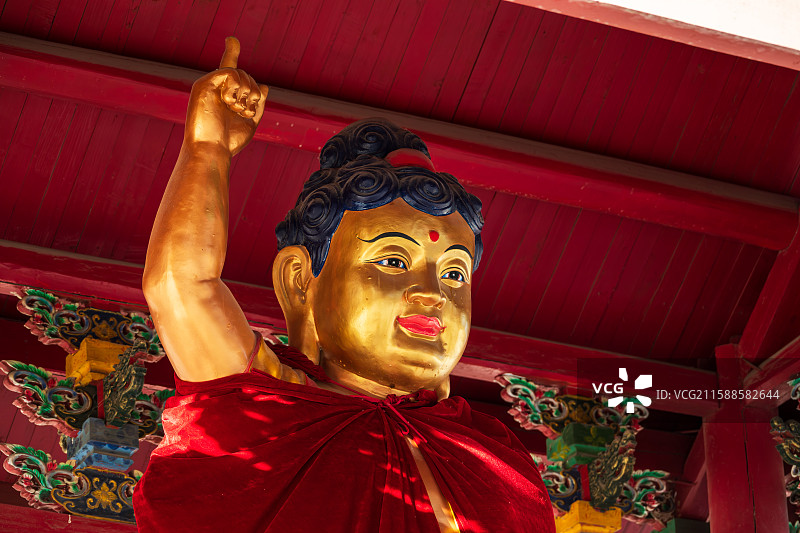 大兴安岭加格达奇金刚寺，世尊初生鎏金佛像，儿童释迦牟尼佛一手指天一手指地，象征佛陀彻悟和觉醒的图片素材