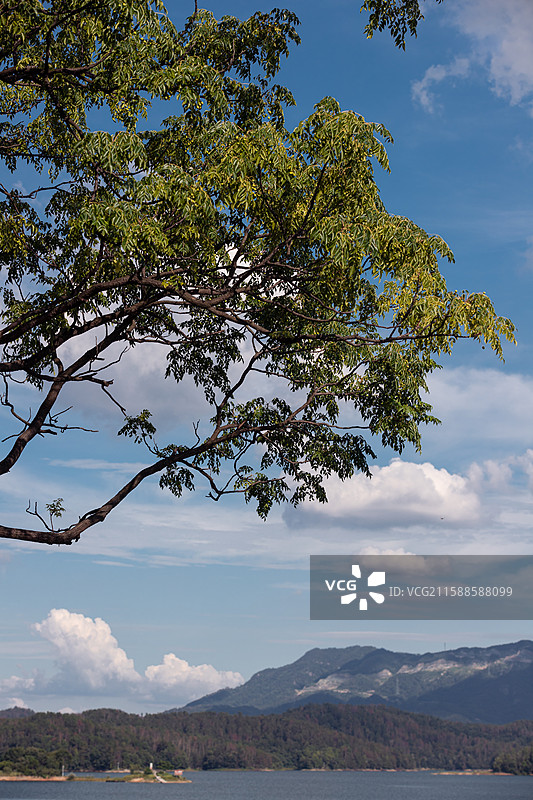 夏日风光图片素材