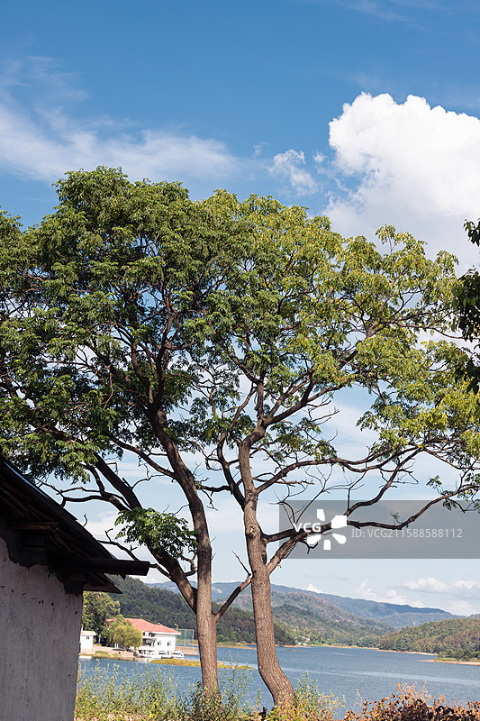 夏日风光图片素材