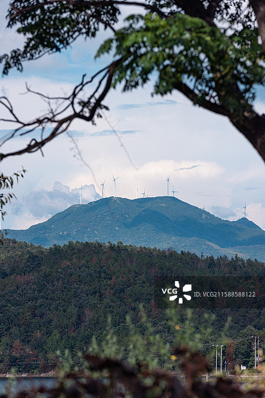 夏日风光图片素材