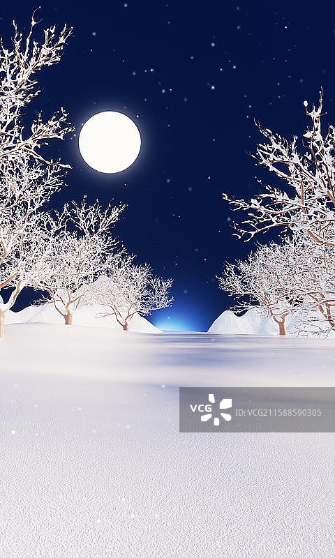 冬天夜晚雪白冬季场景图片素材