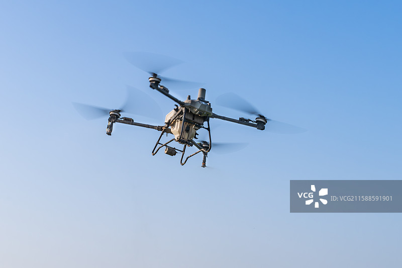 飞行中的农业无人机为农作物喷洒农药图片素材