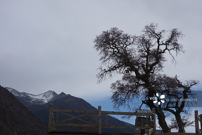 四川省阿坝州小金县四姑娘山双桥沟：盆景滩图片素材