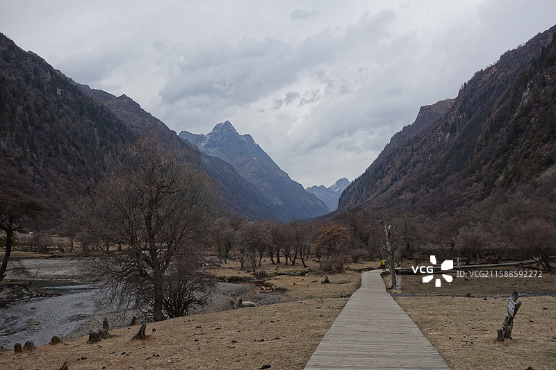 四川省阿坝州小金县四姑娘山双桥沟：盆景滩图片素材