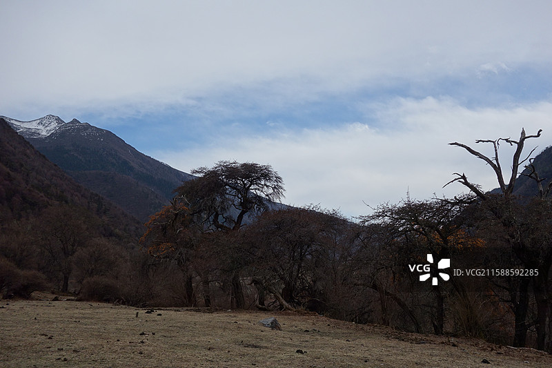 四川省阿坝州小金县四姑娘山双桥沟：盆景滩图片素材