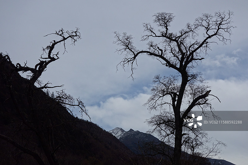 四川省阿坝州小金县四姑娘山双桥沟：盆景滩图片素材