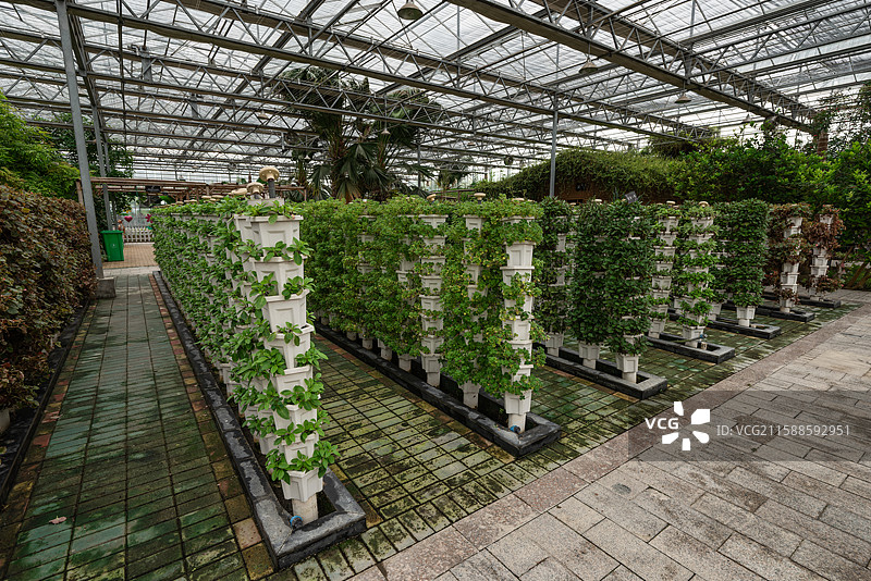 灵璧现代农业博览园图片素材