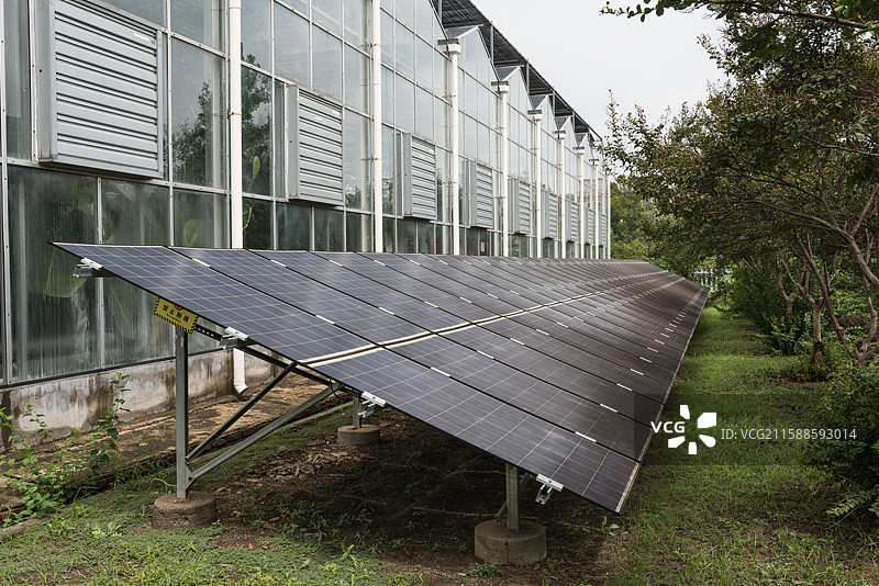 灵璧现代农业博览园图片素材