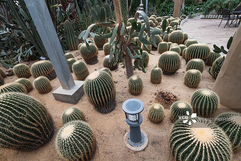 灵璧现代农业博览园图片素材