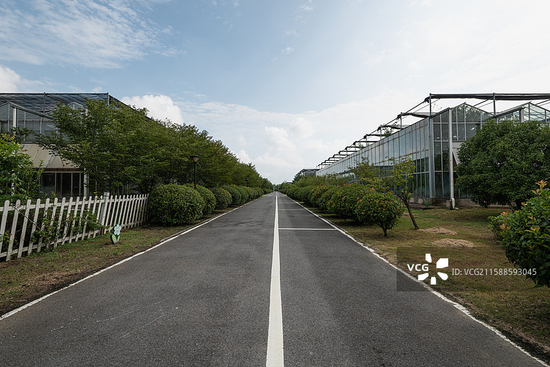 灵璧现代农业博览园图片素材