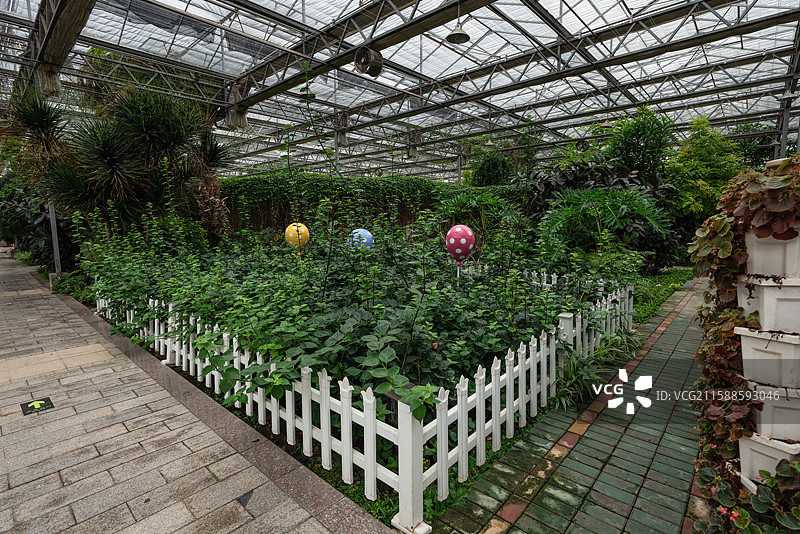 灵璧现代农业博览园图片素材