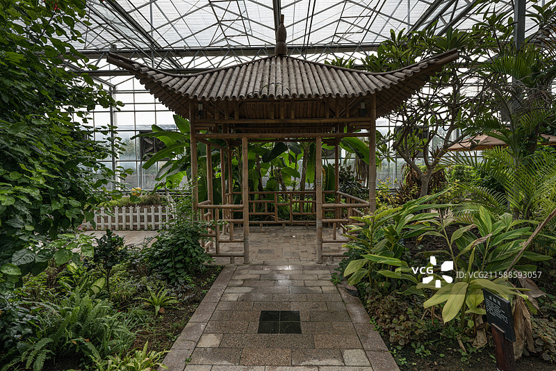 灵璧现代农业博览园图片素材