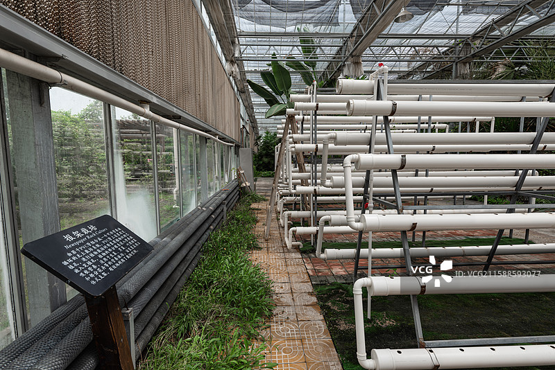 灵璧现代农业博览园图片素材