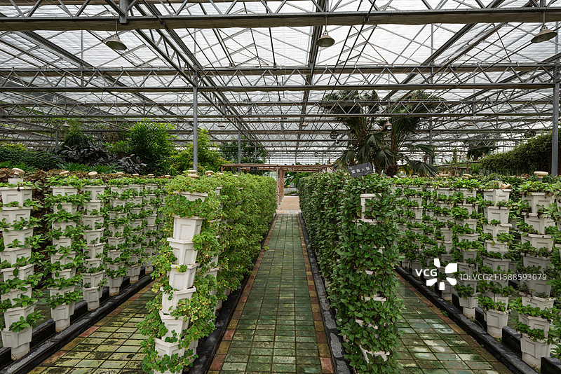 灵璧现代农业博览园图片素材