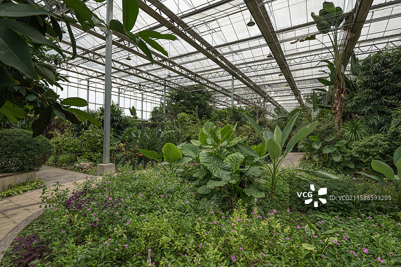 灵璧现代农业博览园图片素材