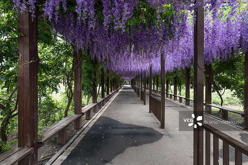 灵璧现代农业博览园图片素材