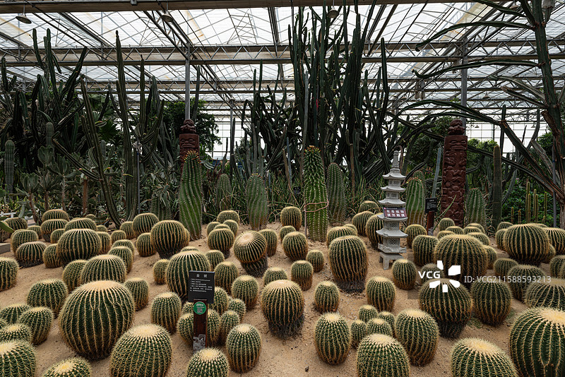 灵璧现代农业博览园图片素材