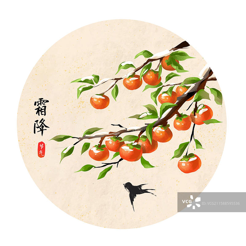 二十四节气之霜降 柿子成熟大丰收 海报模版图片素材