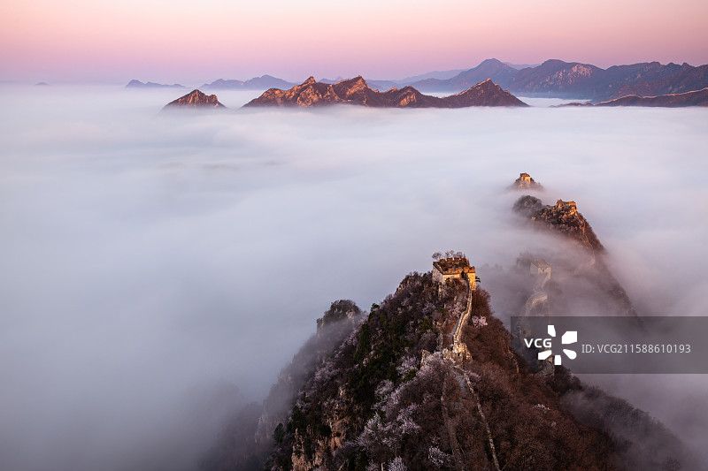 箭扣桃花云海图片素材