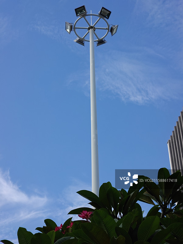 户外纯净天空下的照明灯+红色鸡蛋花图片素材