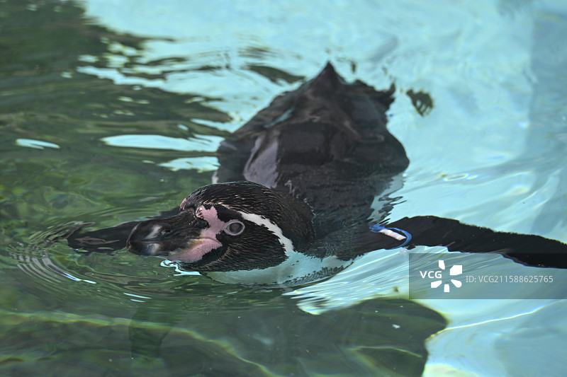 大阪万博图片素材