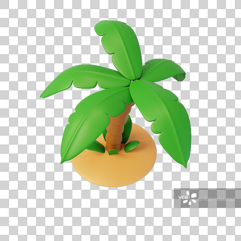 免抠夏季椰子树椰子果实沙滩植物3D图片素材