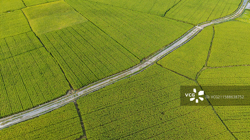 湖北恩施白果乡塘里堂外田园风光图片素材