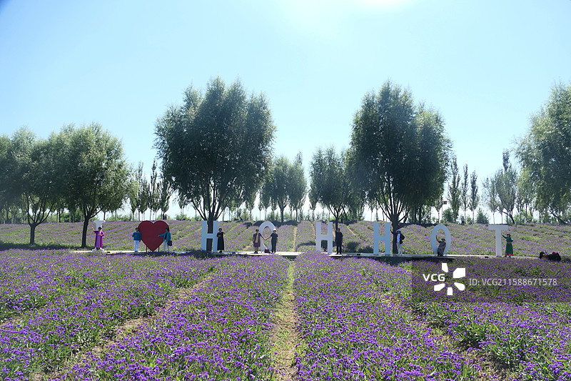 爱 呼和浩特图片素材