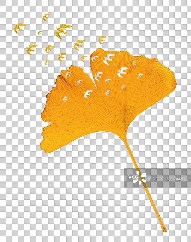 二十四节气 黄色的银杏叶和创意飞鸟剪纸插画图片素材