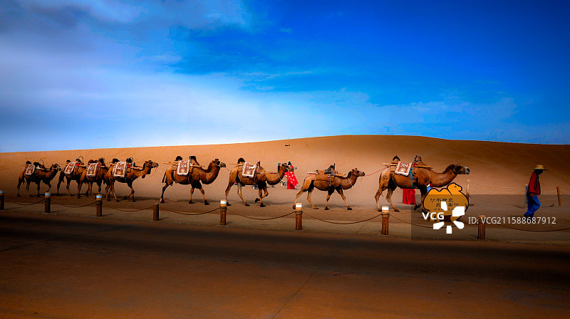 敦煌鸣沙山沙漠驼铃图片素材