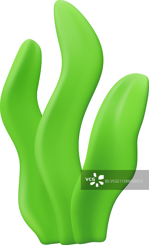 海藻 3D 图标图片素材