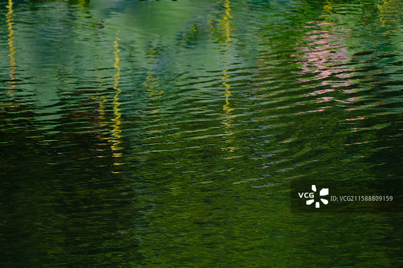 夏天秋天池塘荷塘河水湖。水波纹。绿色蓝色。枸杞风景背景图。设计素材荷花荷叶反射倒影图片素材