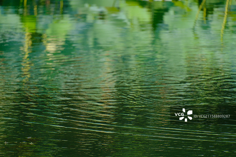 夏天秋天池塘荷塘河水湖。水波纹。绿色蓝色。枸杞风景背景图。设计素材荷花荷叶反射倒影图片素材