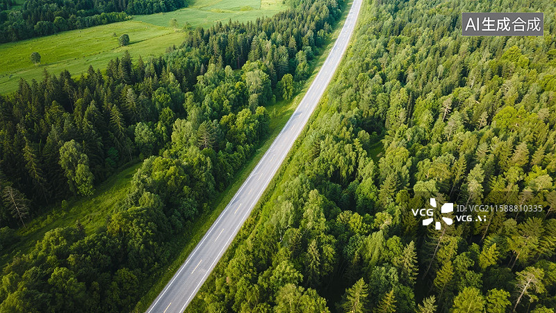 【AI数字艺术】森林中的蜿蜒公路图片素材