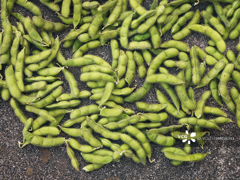 新鲜的毛豆图片素材