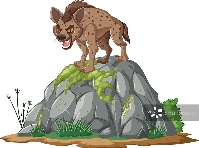 一只在岩石上展示细致纹理的鬣狗图片素材