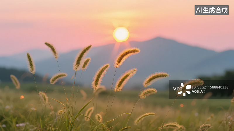 【AI数字艺术】夕阳下的狗尾巴草图片素材