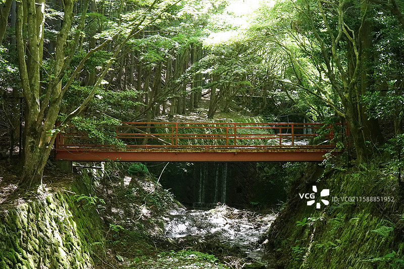 京都初夏的三千院图片素材