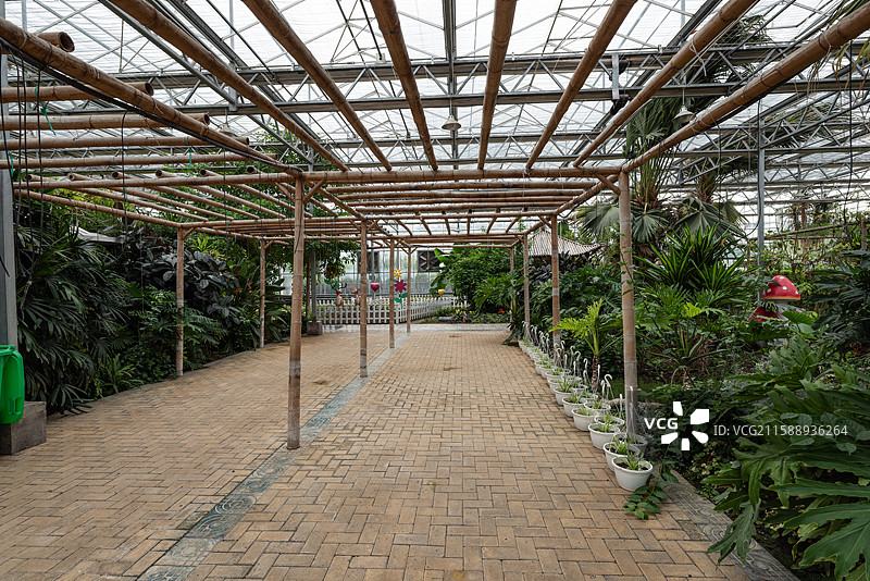 灵璧现代农业博览园图片素材