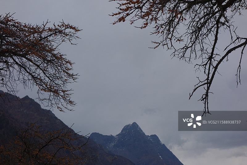 四川省阿坝州小金县四姑娘山双桥沟：盆景滩图片素材