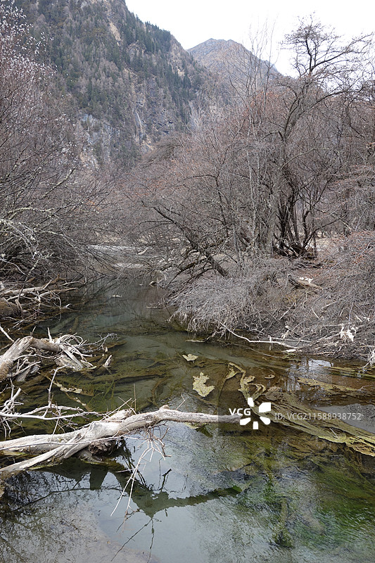 四川省阿坝州小金县四姑娘山双桥沟：盆景滩图片素材