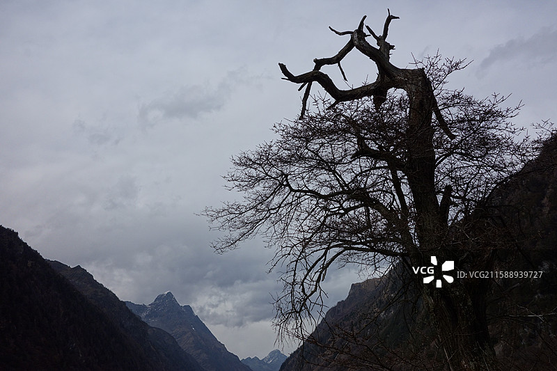 四川省阿坝州小金县四姑娘山双桥沟：盆景滩图片素材