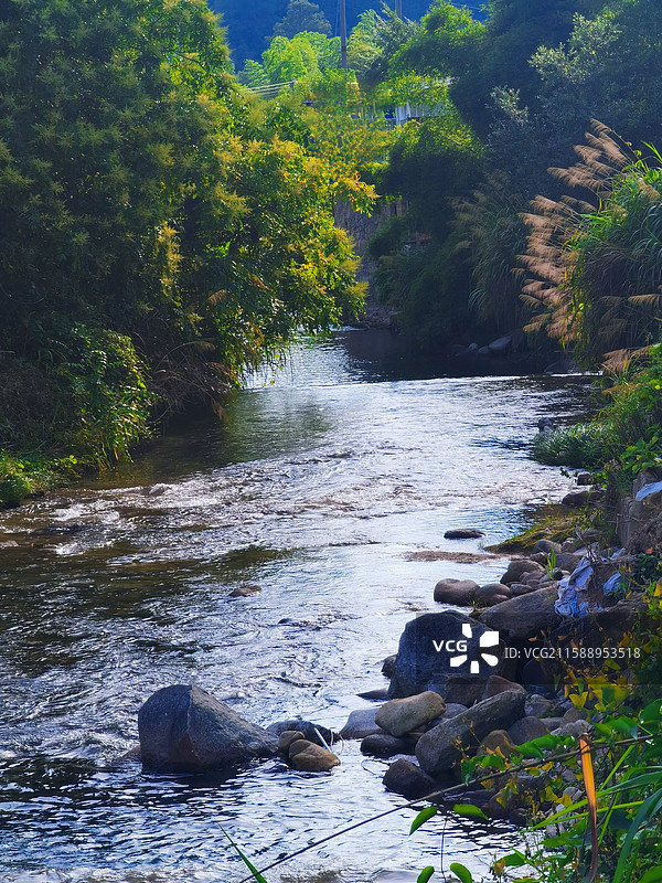 南岭国家森林公园的自然风光图片素材